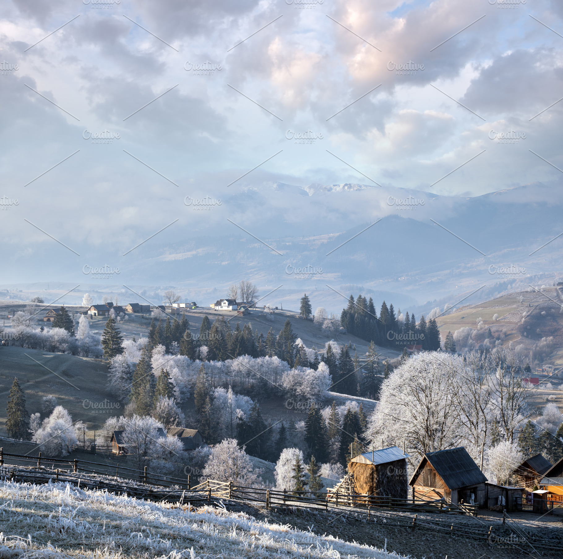 Winter coming. Picturesque foggy and moody morning scene in late, a Nature Photo by YuriyB