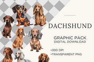 Dachshund Illustration Bundle