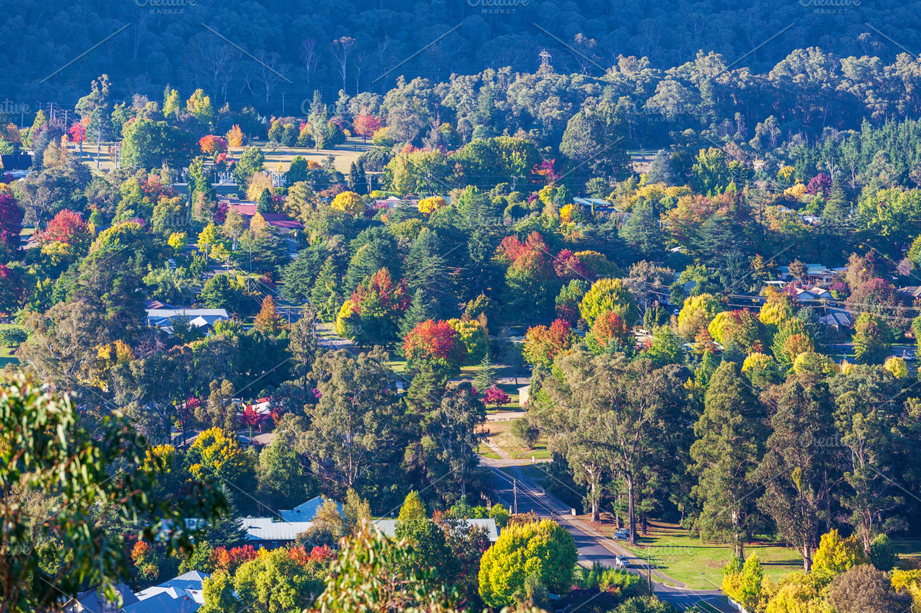 Rural town in autumn, a Nature Photo by Australia Aerial Photo