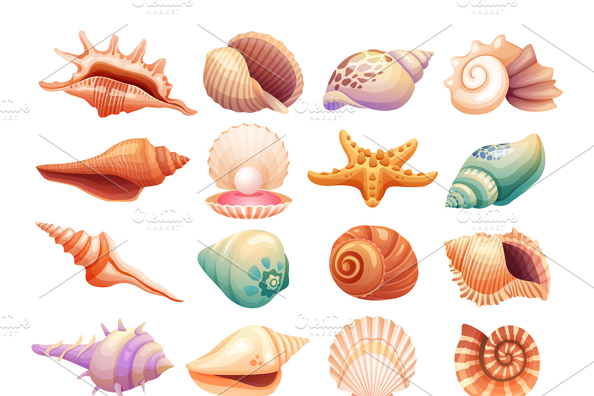 Coral Reef & Seashell Collection, a Decorative Illustration by YG Studio (Photo 3 of 4)