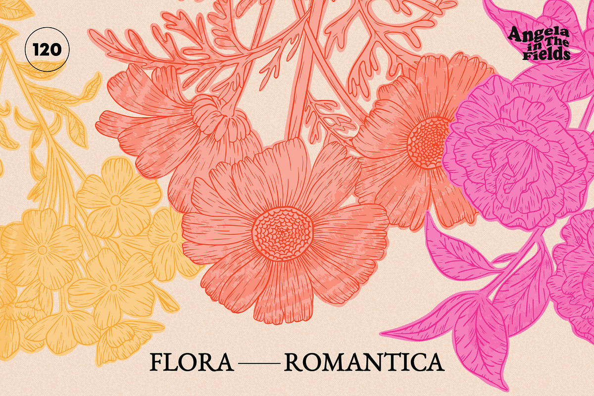 Flora Romantica Vector Florals, an Object Graphic by angelainthefields (Photo 1 of 12)