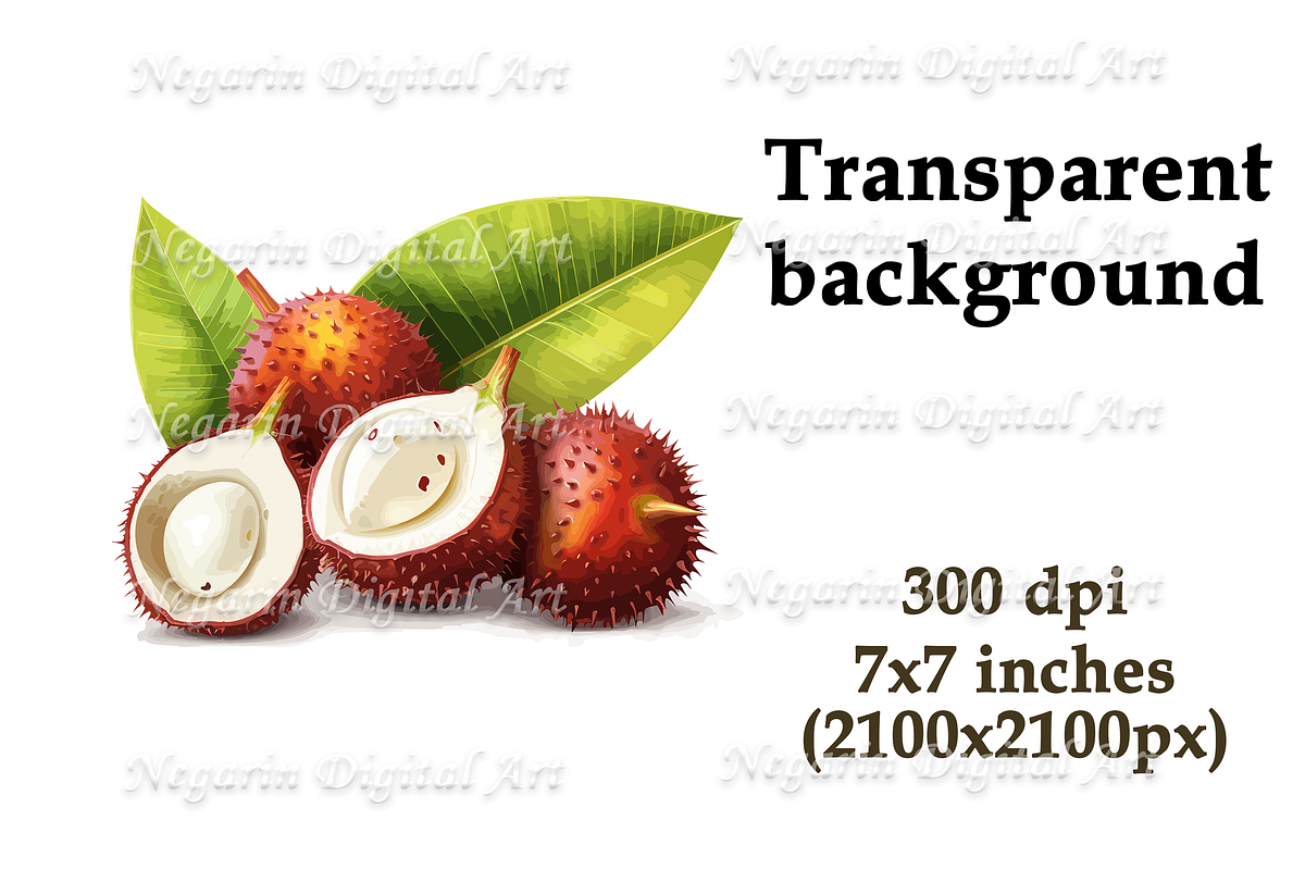 Watercolor Summer Hawaiian Fruits, an Object Graphic by Negarin Digital Art (Photo 6 of 9)