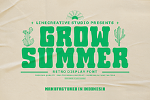 Grow Summer-Retro Display Font