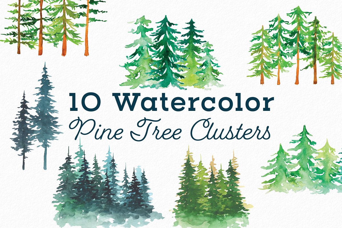 Watercolor Pine Tree Elements, an Illustration by ECHOFOXX (Photo 4 of 4)