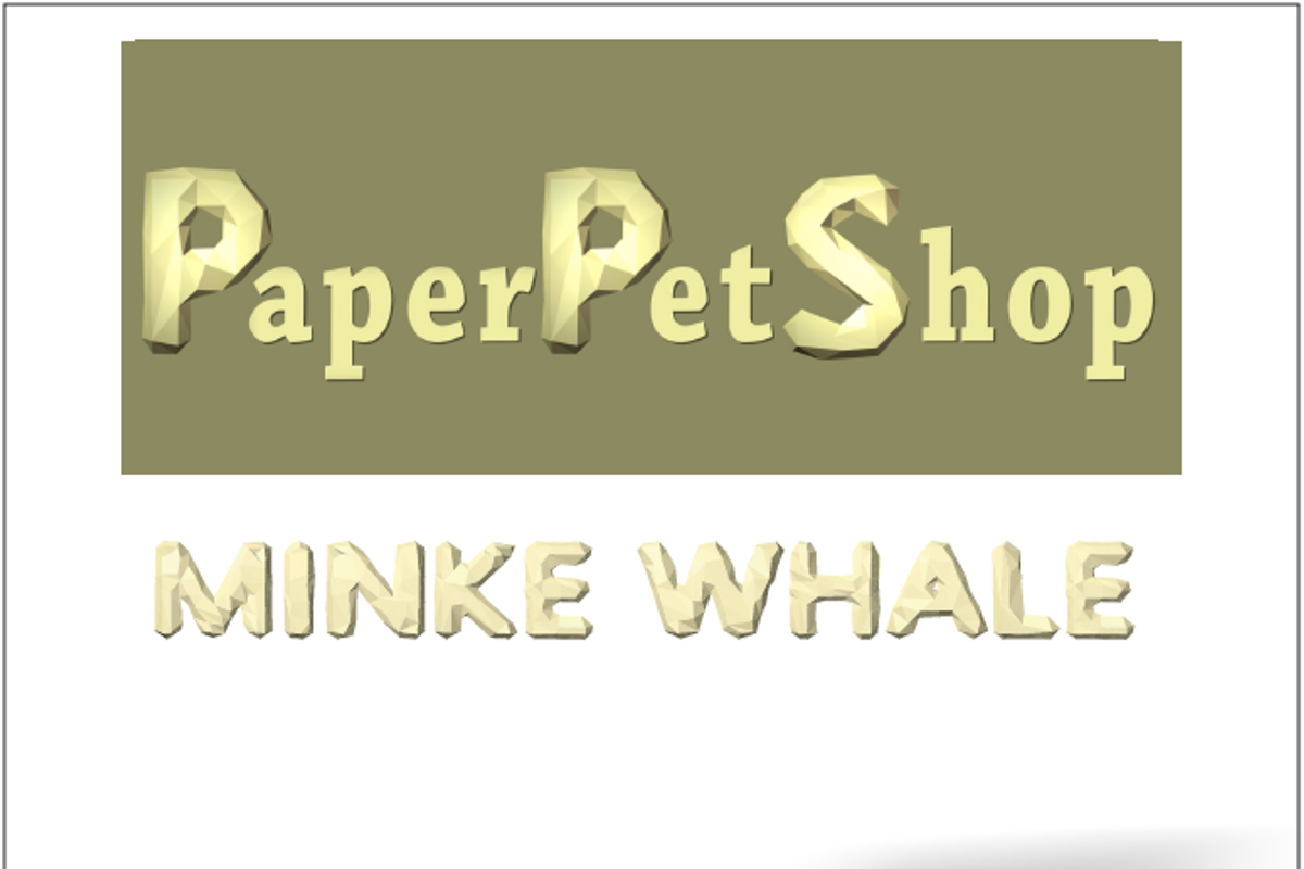 Papercraft Whale Sale, a Templates & Theme by PaperPetShop (Photo 3 of 4)