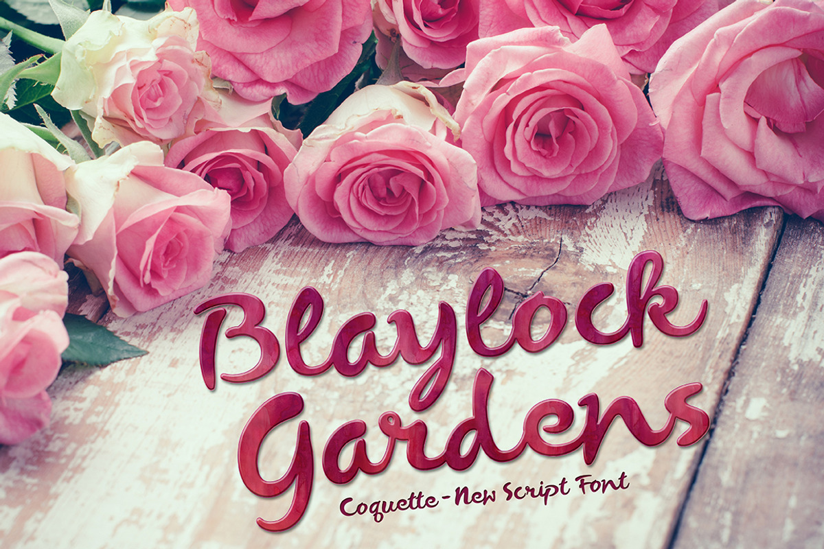 Coquette Script Font preview 8