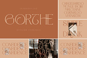 SALE! Modern & Classy Serif Font, a Serif Font by Storytype Studio (Thumbnail 40 of 42)