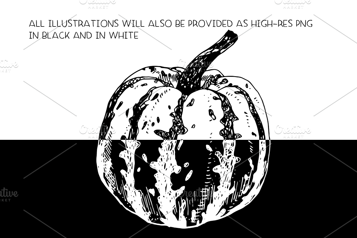 Pumpkins & Gourds - illustrations, a Food Illustration by Renée from Studio neetje (Photo 3 of 5)