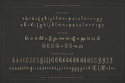Westlynn Brush Calligraphy, a Script Font by Creatype Studio (Thumbnail 9 of 9)