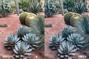Marrakesh Lightroom Presets, an Action Add-On by in between details (Thumbnail 8 of 13)