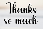 Elegant Wedding, a Handwritten Font by InermediaSTUDIO (Thumbnail 6 of 8)
