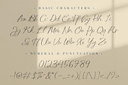 Manfollo Modern Script, a Script Font by alit design (Thumbnail 5 of 15)