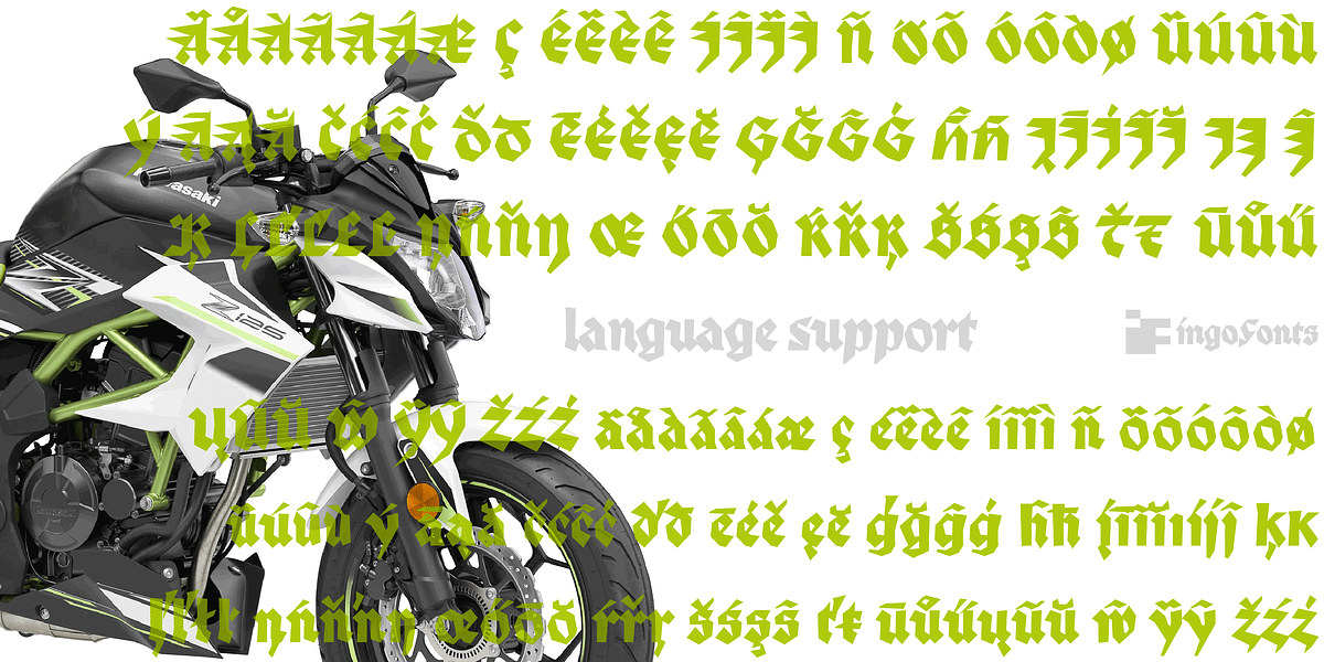 Palmona, a Blackletter Font by ingoFonts (Photo 10 of 10)