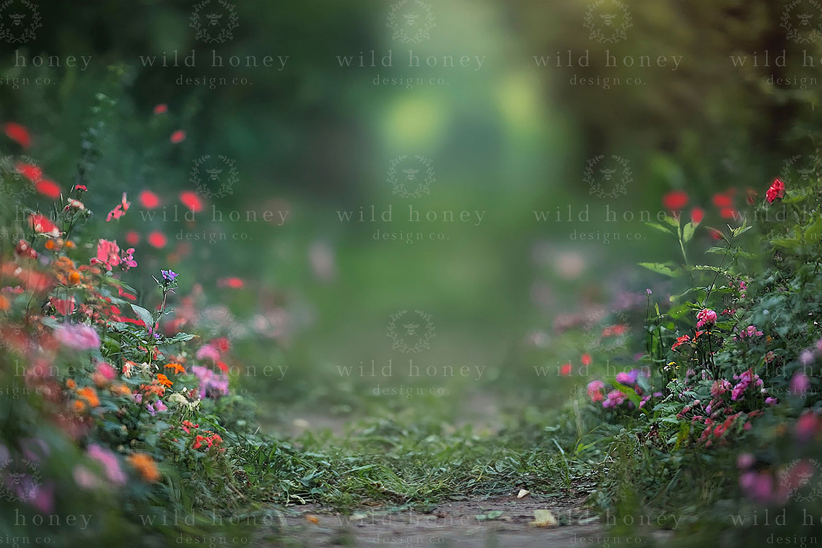 Flower Path Digital Backdrop, a Layer Style Add-On by Wild Honey Design Co. (Photo 2 of 2)