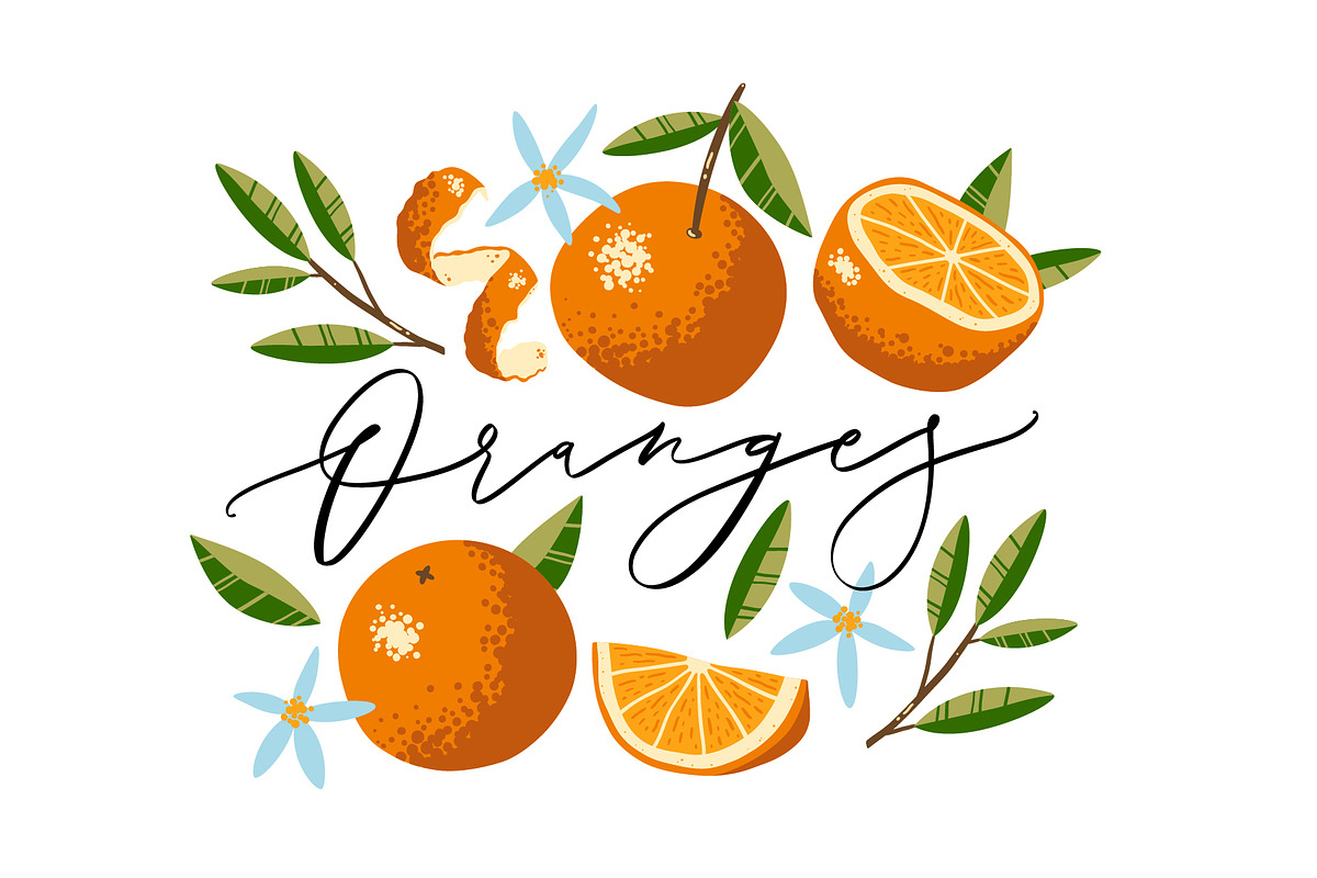 Oranges, Flowers and Leaves., a Food Illustration by dv_illustration (Photo 1 of 3)