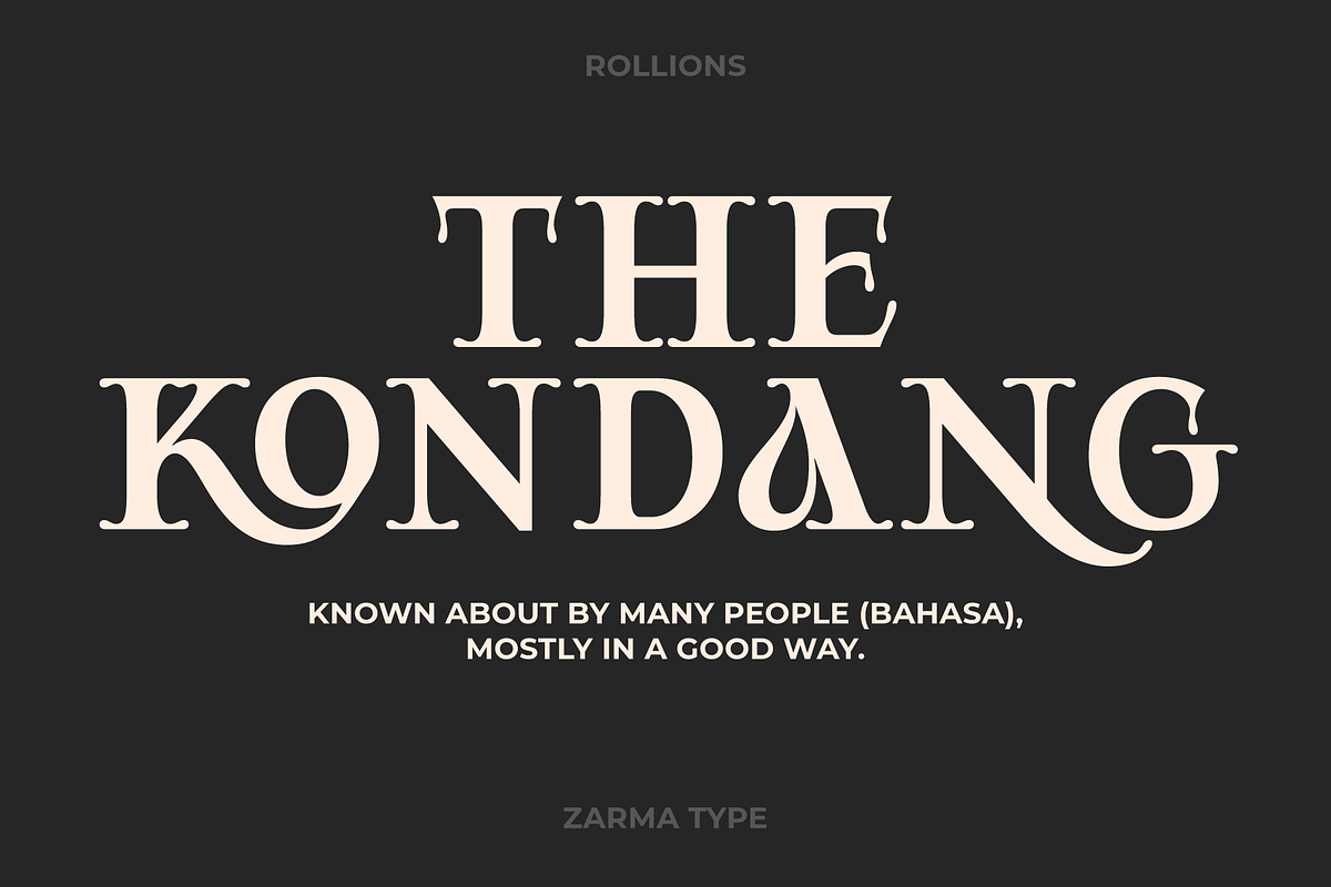 Rollions - Display Serif Font, a Serif Font by Zarma Type (Photo 9 of 12)