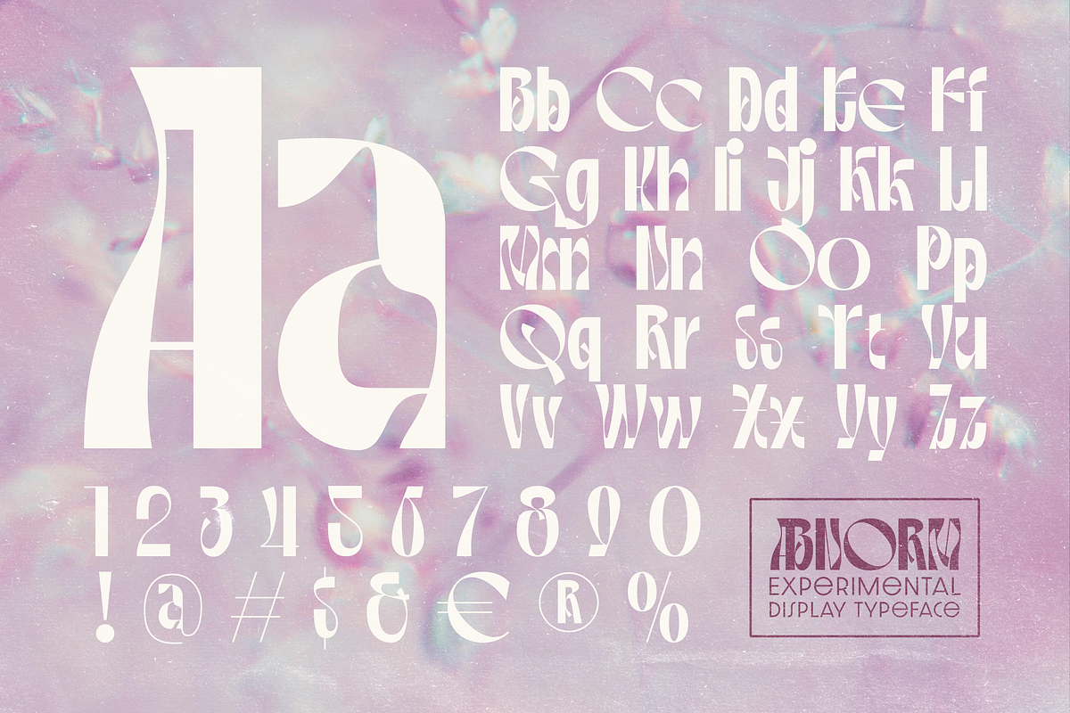Abnorm Experimental Display Typeface, a Serif Font by Graphue (Photo 2 of 9)