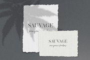 Hemp/Marijuana Shadows & MockUp, a Mockup by Jeanina Vlad (Thumbnail 7 of 17)