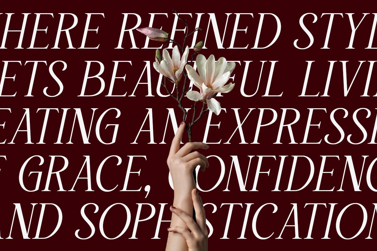 Willow Starlion - Elegant Serif Font, a Serif Font by Say Studio (Photo 6 of 10)