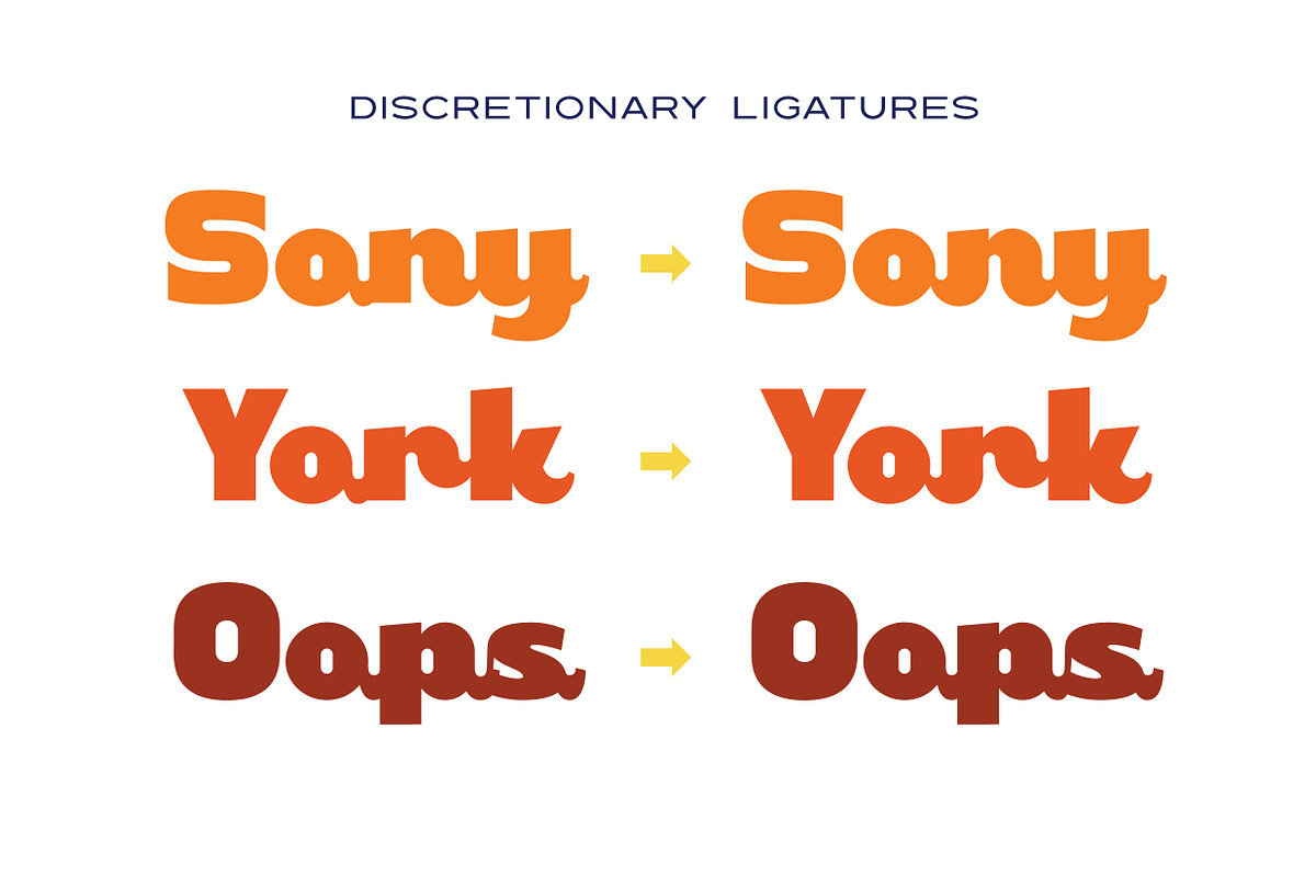 Rekina - Vintage Bold Script preview 4