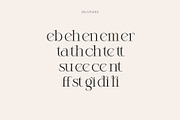 Bricho Modern Elegant Serif, a Serif Font by Alfinart (Thumbnail 8 of 8)