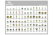 84 Desert Plants Photo Overlays, a Nature Photo by KenScape (Thumbnail 3 of 3)