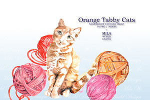 Orange Tabby Cat