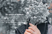 Stephile, a Handwritten Font by NUGS (Thumbnail 7 of 7)