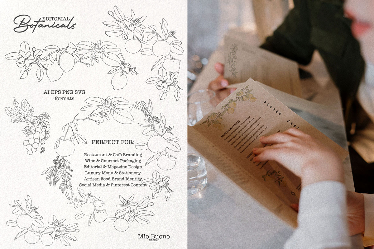 Editorial Botanical Line Art, an Object Illustration by Mio Buono (Photo 5 of 16)