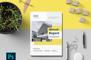 Annual Report Brochure, a Brochure Template by New Lines (Thumbnail 1 of 7)