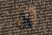 Awakening Gallop Modern Brush Font, a Script Font by stylishtype.co (Thumbnail 16 of 20)