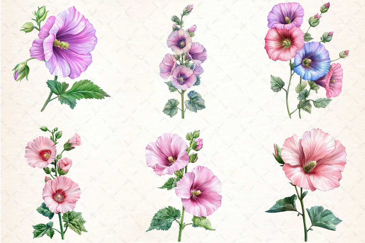 Watercolor Hollyhock Clipart, an Illustration by Libby Wishes (Photo 7 of 12)