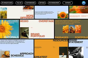 HEXXO - Brand Portfolio Keynote, a Presentation Template by Creatorism