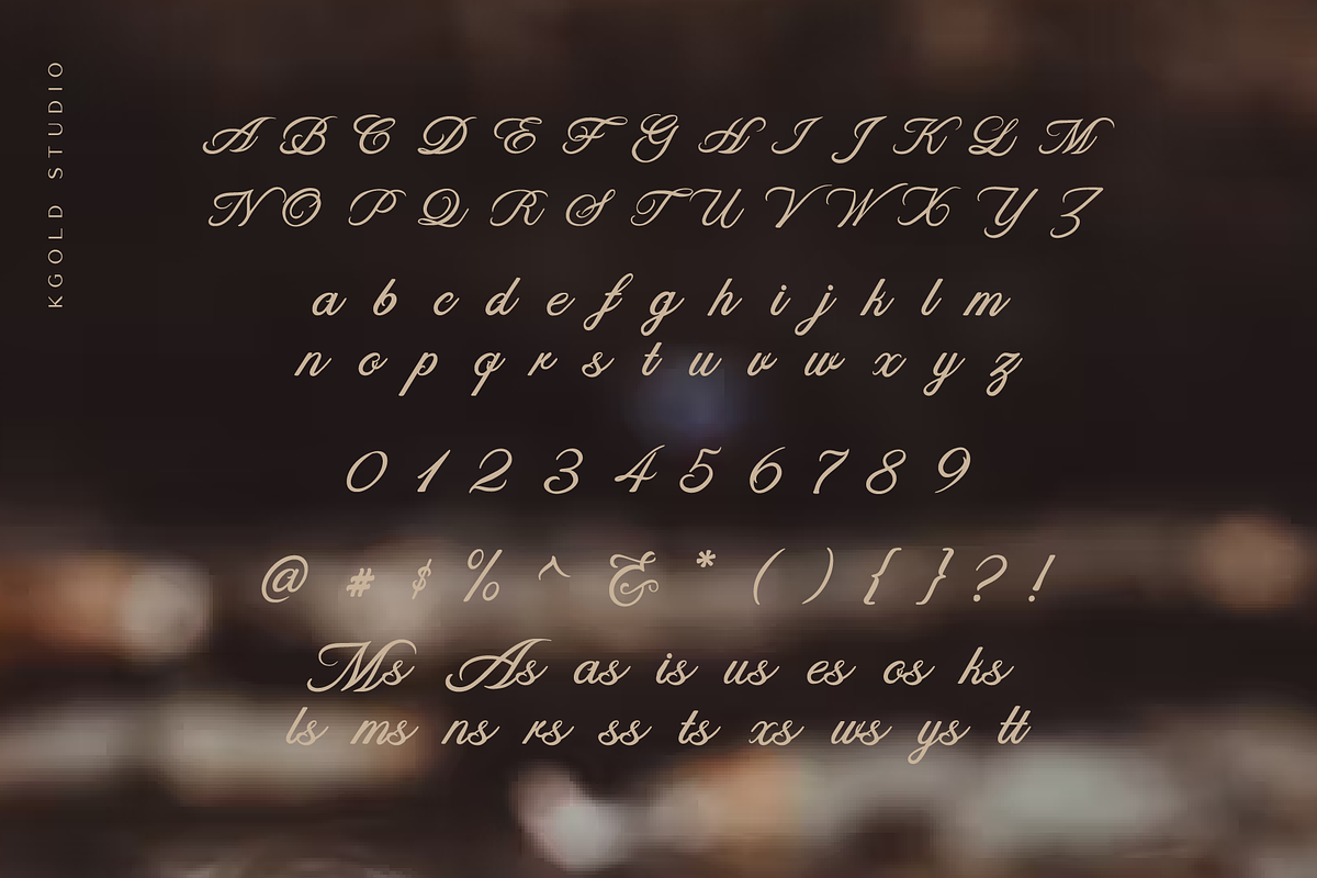 Philautia Script, a Script Font by Badsign Type (Photo 2 of 8)