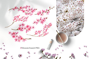 Cherry Blossom Watercolor Clipart