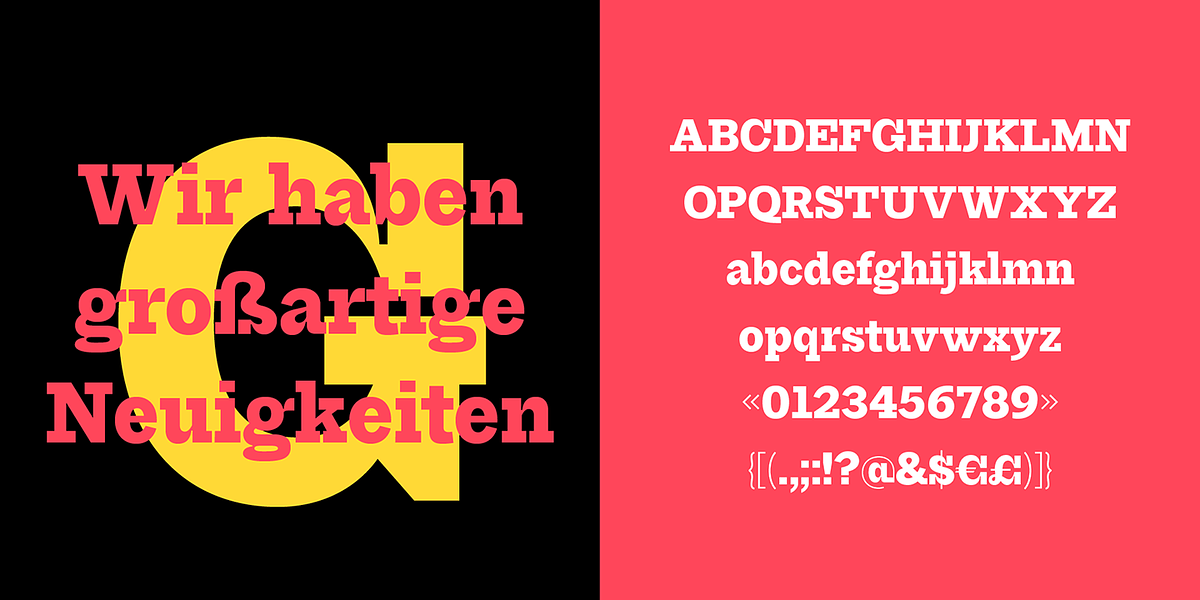 Perva, a Slab Serif Font by Eller Type (Photo 6 of 8)