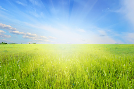summer landscape, a Wallpaper Photo by Liliia Rudchenko