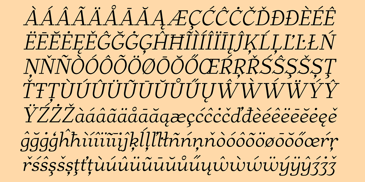 BearAnark, a Serif Font by Ingrimayne Type (Photo 10 of 10)