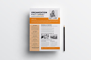 Nonprofit Organization Fact Sheet, a Stationery Template by obayes (Thumbnail 2 of 4)