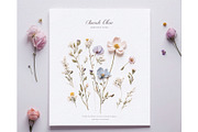 Pretty Wildflowers I Pressed Flowers, a Background Graphic by by creative paper (Thumbnail 7 of 14)