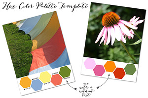 Hex Color Palette Layout for Blogs