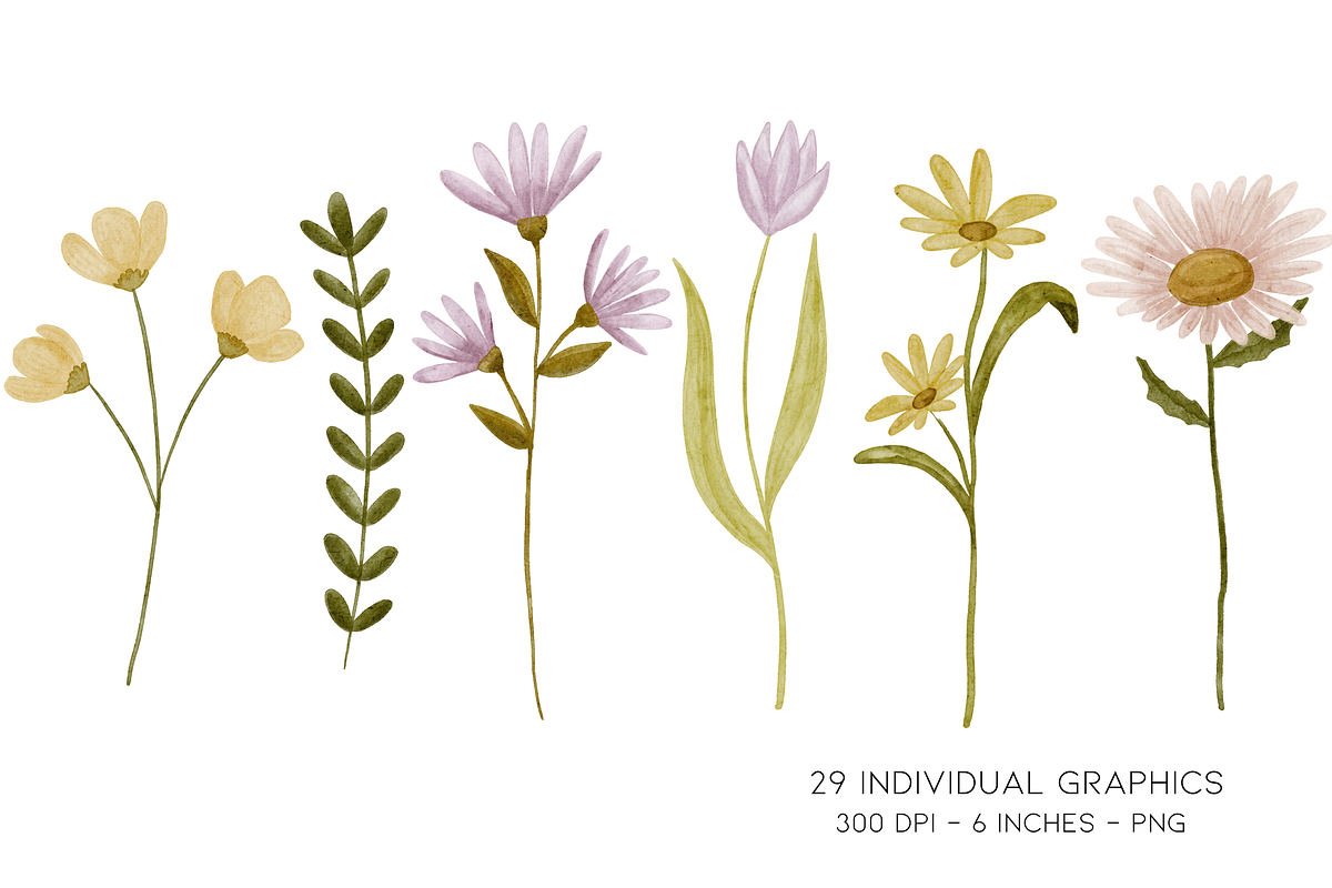 Watercolor Wild Flower Clipart, a Decorative Illustration by Murphy & Frank (Photo 4 of 9)
