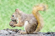 Editable Photoshop Photo Effect, an Action Add-On by Photoshop Action (Thumbnail 2 of 9)