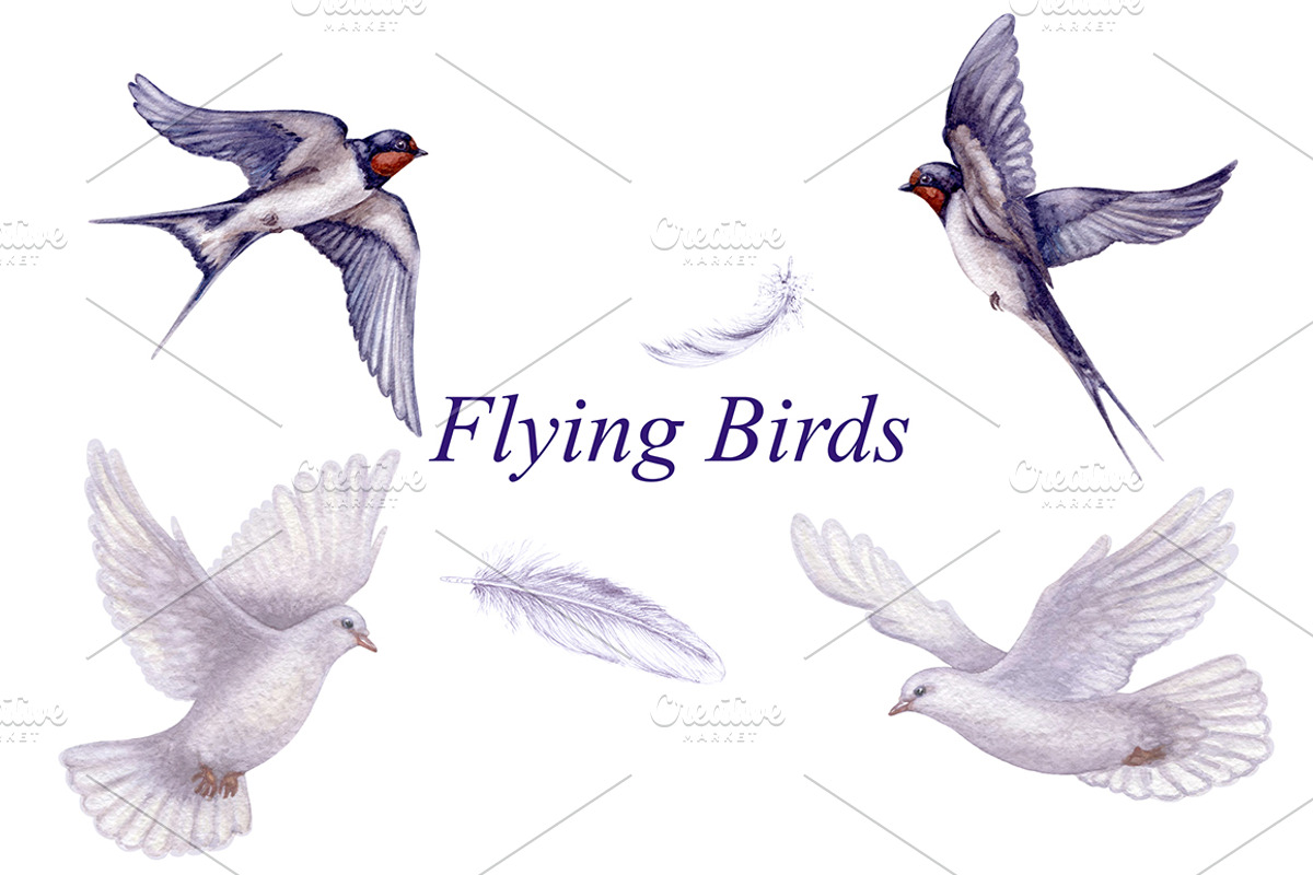 Watercolor Flying Birds, an Animal Illustration by Valentyna Smordova (Photo 1 of 3)