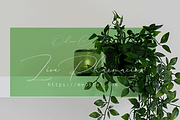 Groen Studio(Black Friday Sale), a Script Font by groens (Thumbnail 3 of 7)