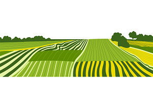 Vector farm field landscape. Furrows