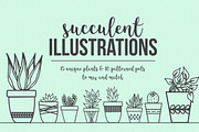 Hand Drawn Succulent Illustrations, an Illustration by Hannah Eliza Studio (Thumbnail 2 of 6)