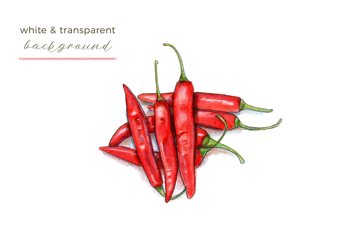 Hot Chili Peppers | 5 Cliparts, a Food Illustration by Miriam Figueras (Photo 3 of 4)