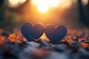Heart  shaped objects nestled on aut, a Photo by Iftikhar Alam