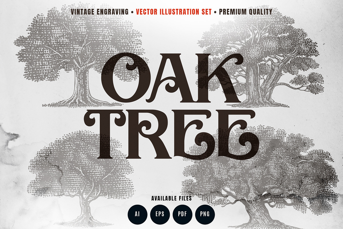 Vintage Oak Tree Illustration, an Object Graphic by RMPL.std (Photo 1 of 5)
